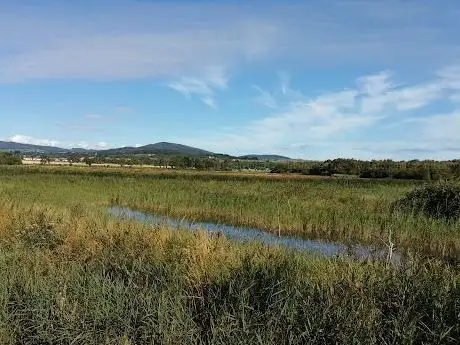 Photo de BirdWatch Ireland's East Coast Nature Reserve