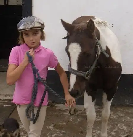 Photo de Streamside Stables