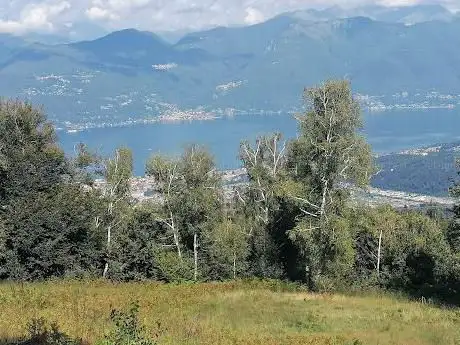 Photo de La Pineta