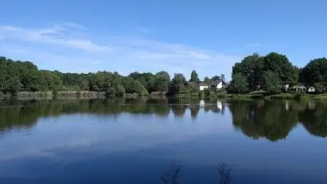 Photo de Motschweiher