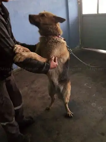 Photo de Çocuk Bahçesi