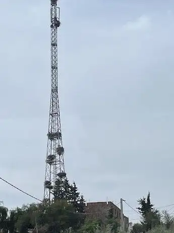 Photo de Hochhaus für Klapperstörche