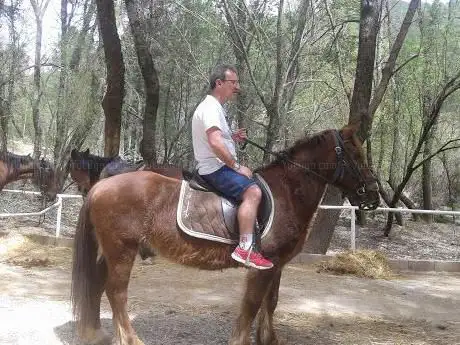 Photo de Excursiones a Caballo Las Herrerias