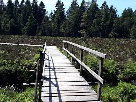 Photo de Schützenbergmoor