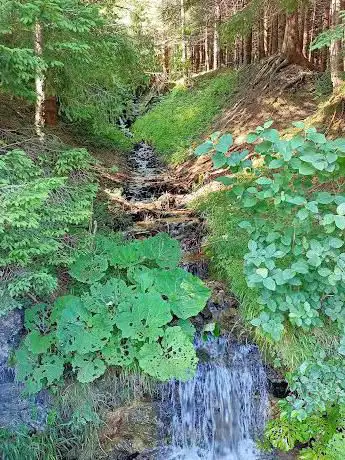 Photo de Parco del Giovetto