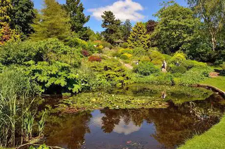 Photo de The Dorothy Clive Garden