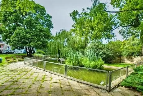 Photo de Entchenteich