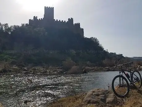 Photo de Parque Almourol - Promoção E Desenvolvimento Turístico  Lda.