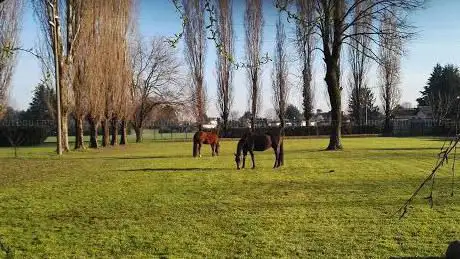 Photo de HT Horsebalance ASD Equitazione