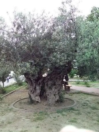 Photo de Kardeş Gera Belediyesi Parkı