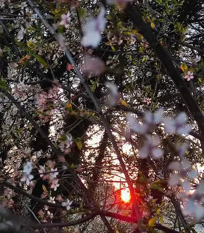 Photo de I Poggini