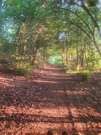 Photo de Gamla soptippen (Vandringsleder)