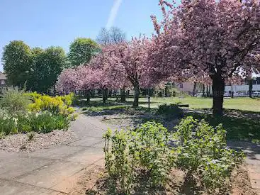 Photo de Parc Chatillon