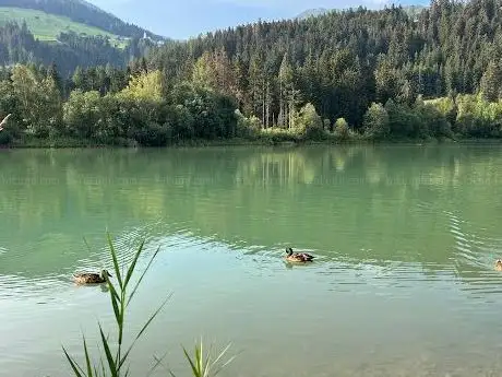 Photo de Naturschaupfad/Speicher Tassenbach