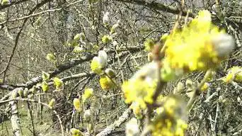 Photo de étangs Woods