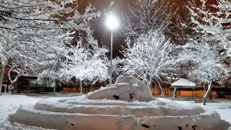 Photo de Oktay Genel Parkı