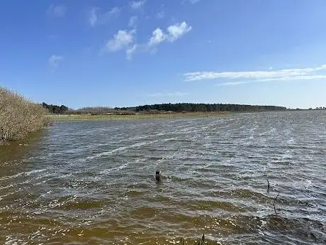 Photo de Poste d’observation gratuit ornithologique du Marquenterre
