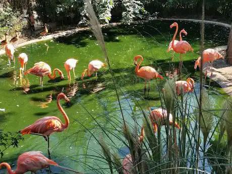 Photo de ZOA Parc