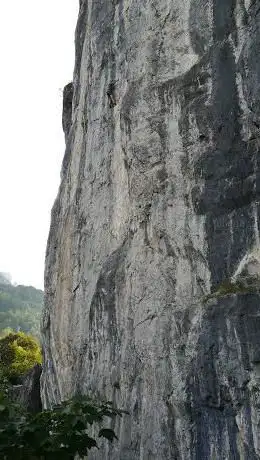 Photo de Nibbio