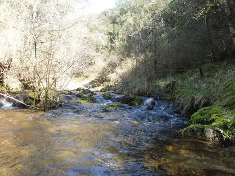 Photo de Les cuves du Jergne