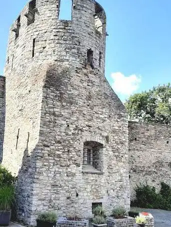 Photo de Tour du Cygne
