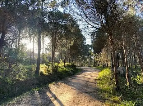 Photo de Rio da Mula