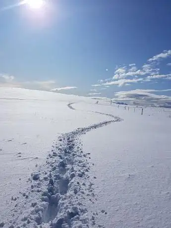 Photo de Le Petit Lac