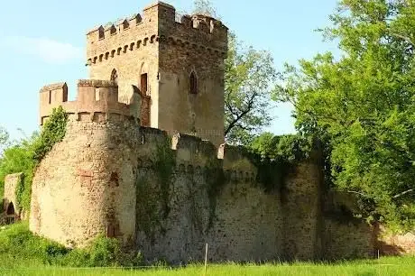 Photo de Château de Niedernai