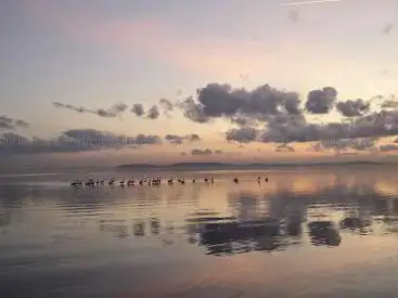Photo de Tourist Office of Marignane