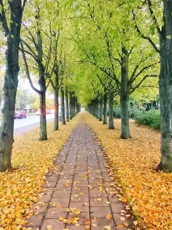 Photo de Mästers Park