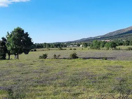 Photo de Pista de Fútbol Sala