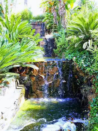 Photo de Botánico Betty Molesworth Park