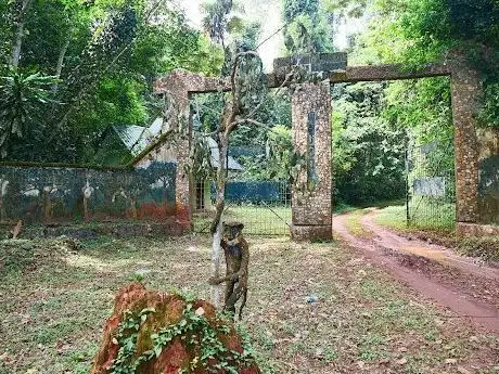 Photo de Okomu National Park