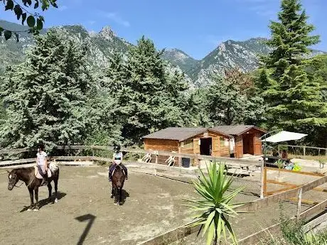 Photo de CENTRE EQUESTRE MONTI