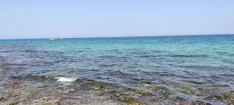 Photo de Spiaggia libera n. 4 Stella di Mare