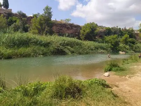 Photo de Pinar Mare de Déu de Grà cia
