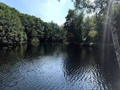 Photo de Holmen