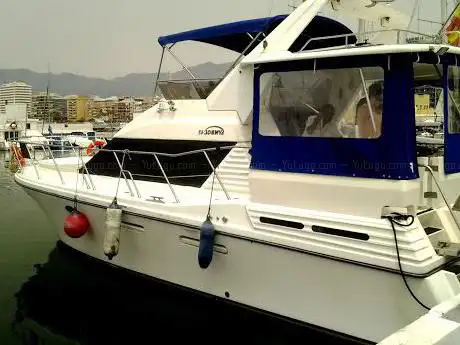 Photo de Dolphin Spotting Trips - Chamuel Luxury Charters