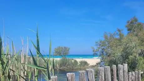 Photo de Parco Naturale Regionale Dune Costiere da Torre Canne a Torre San Leonardo