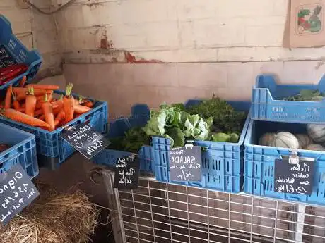 Photo de Ferme aux Légumes