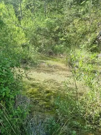 Photo de Značajni krajobraz Sutina
