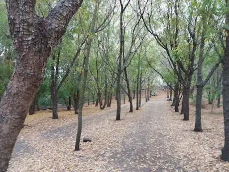 Photo de Parcours de Santé d'Étang-Salé