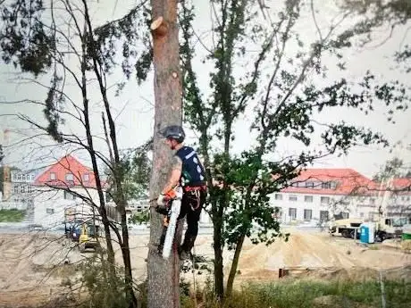 Photo de Dienstleistungen Schuhmann GmbH