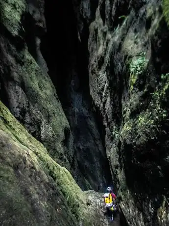 Photo de Rumbo al monte