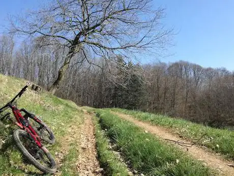 Photo de Bosco della Serenissima