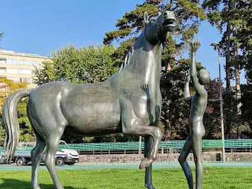 Photo de L'Adolescent et le Cheval