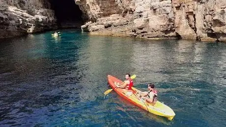 Photo de Fenix Adventure