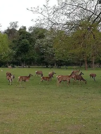 Photo de Parco delle Duchesse