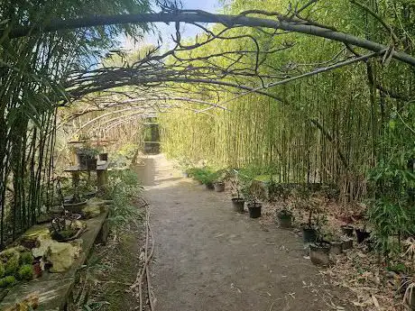 Photo de Tropicarium Bonsaï La Baule