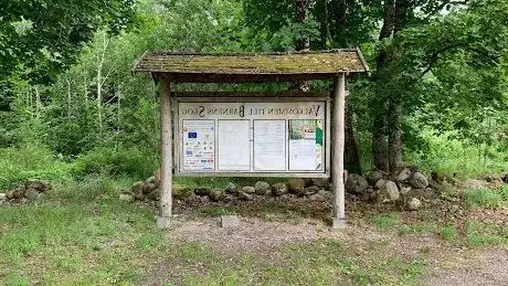 Photo de Barnens Skog i Sibbhult